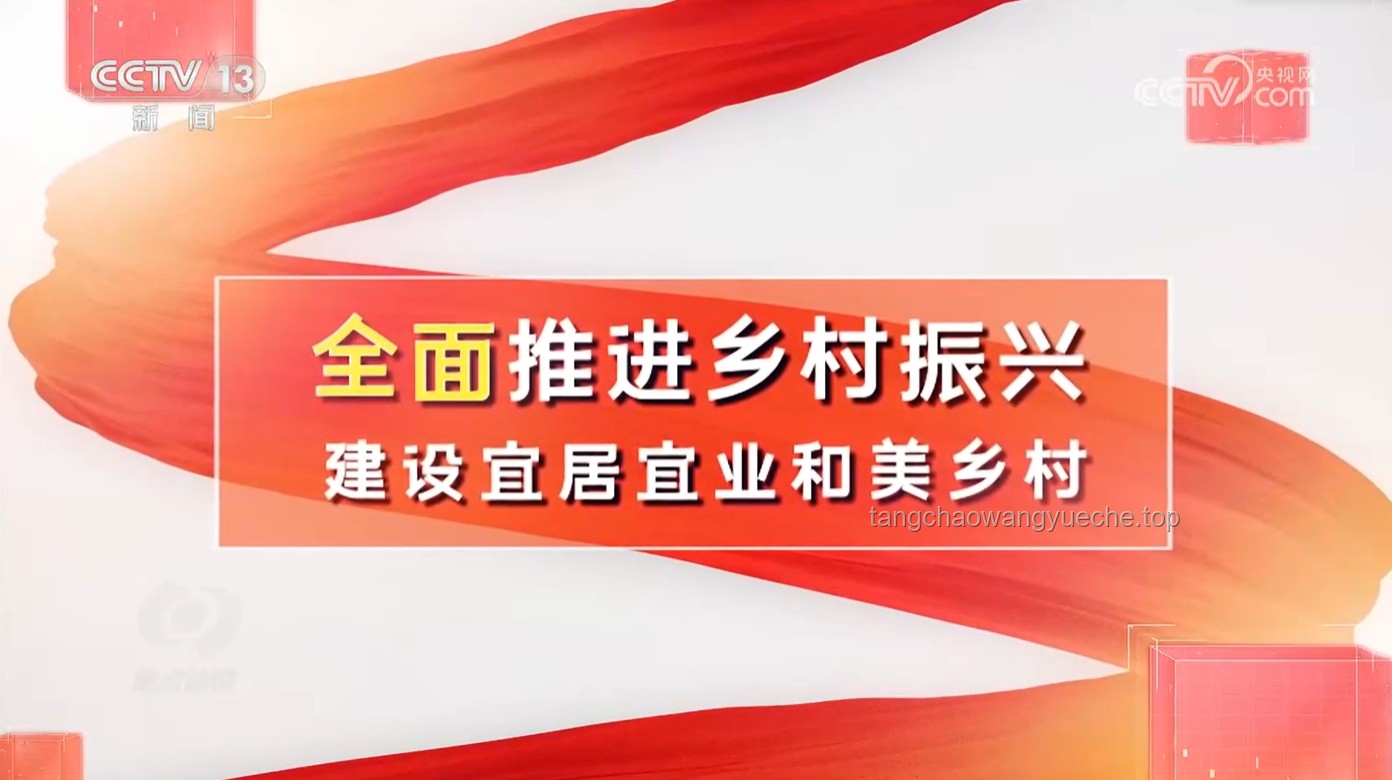 砺精兵 向未来：乡村振兴培训下的党建引领与机遇挑战